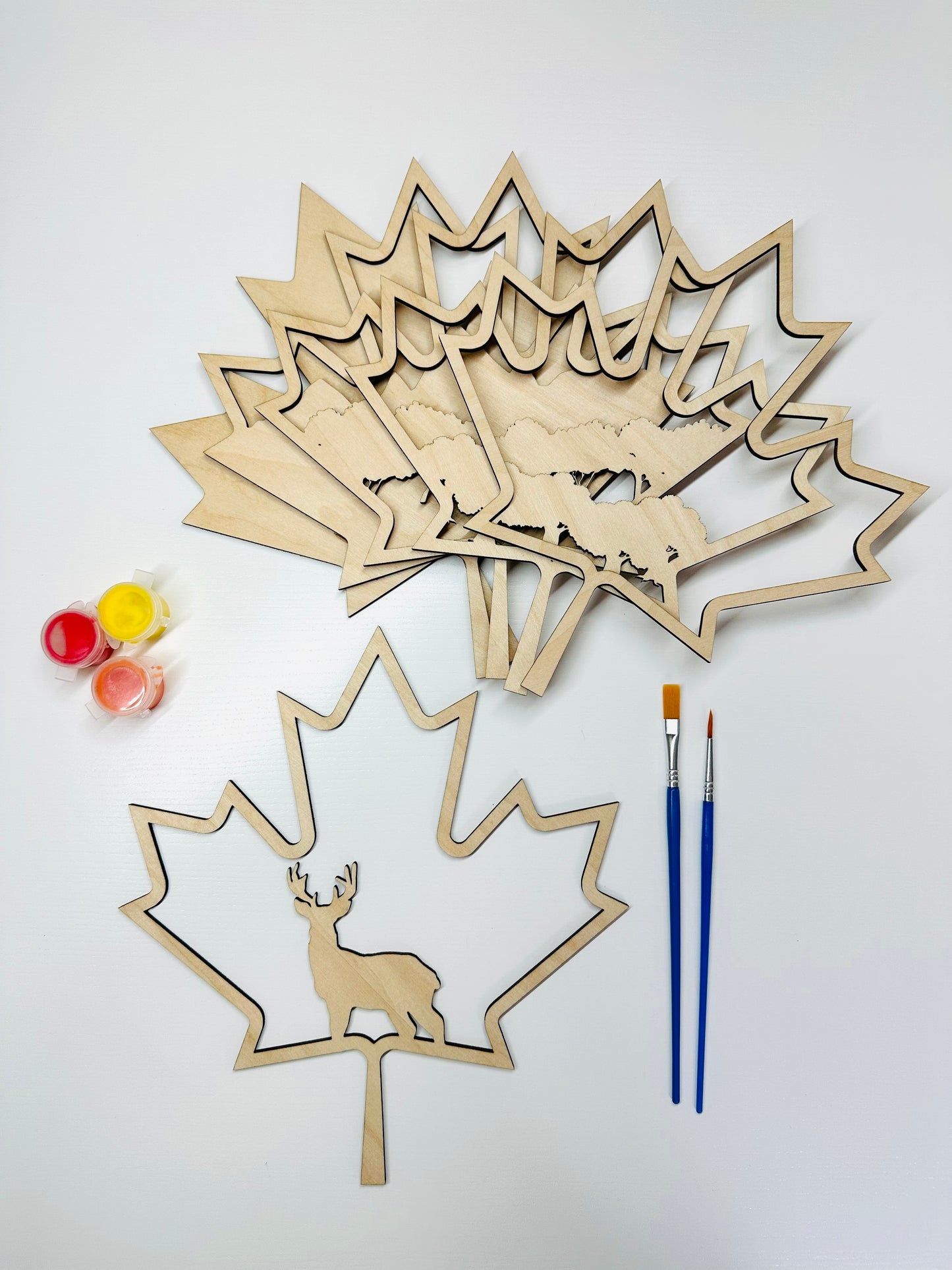 Colouring kit "Canada's famous animal"