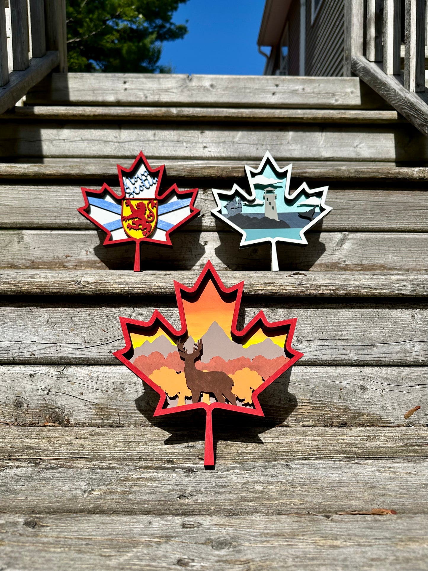 Colouring kit "Canada's famous animal"