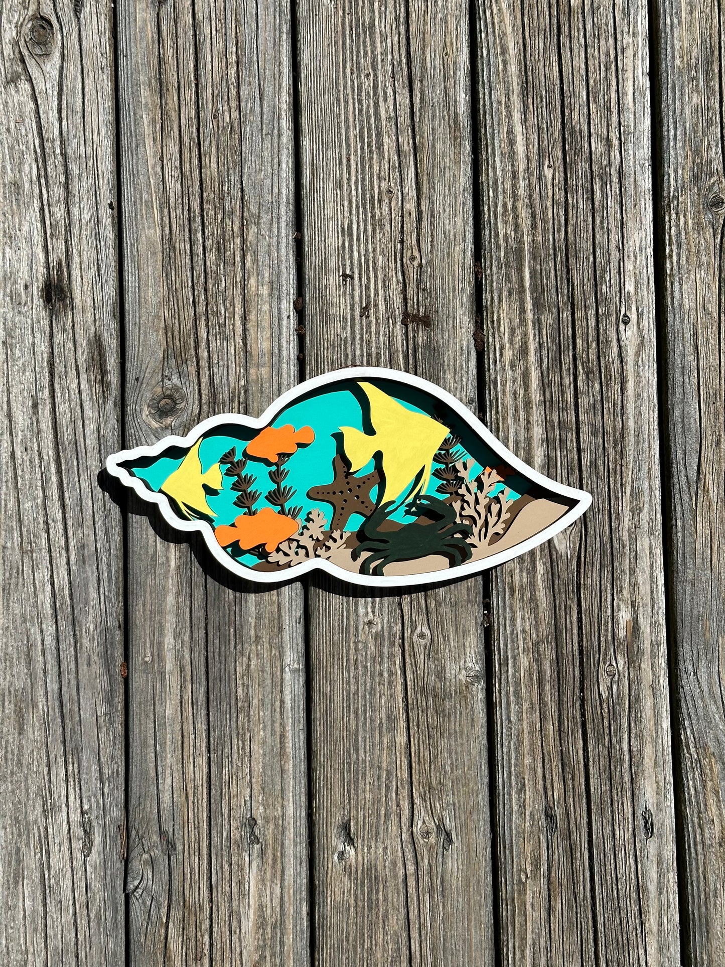 Colouring kit "Seashell"