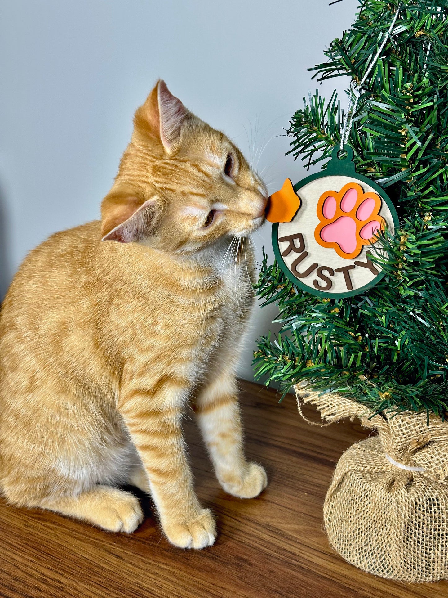 Colouring mini kit "Build your own Pet ornament"