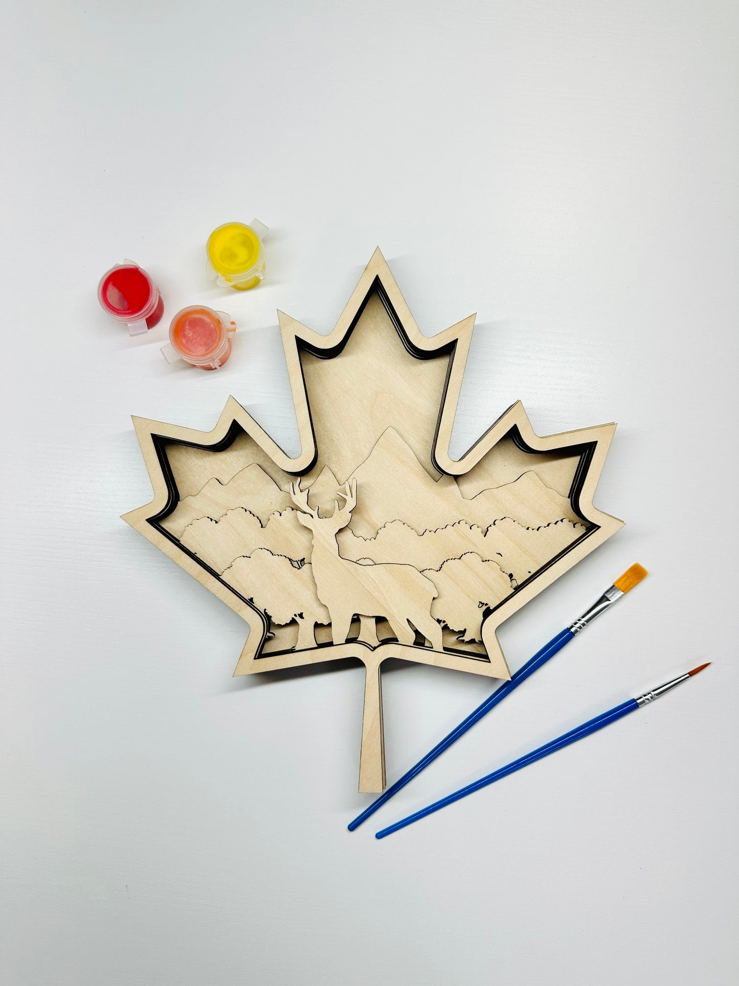 Colouring set "Canada's famous animal"